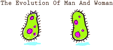 file16806_evolution1.gif